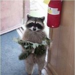 [드루와] 뷰<b>튜버</b> 추천해주라