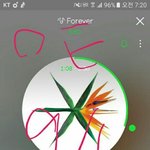 [EXO] 시상식때 조카 간지나게 코코밥하고