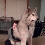 <b>CG</b>로 오해할만한 우리집 큰 애기들