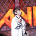 [<b>박지훈</b>] 윙멘