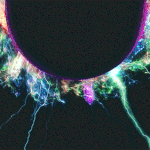 [EXO] 공지정화 )EXO <b>Power</b>