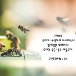 신천지 사람이 전하는 사랑의 편지, 성경 속 '하나님의 약속'