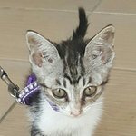 [댓글부탁해] 얘들아 나 축하해줘