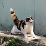 [ㅋㅋㅋㅋㅋ] 우리학교장애인이 내 옷에 카레<b>흘림</b>