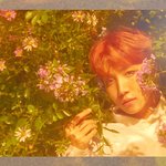 [방탄소년단] 빅히트는 항상 컨포공개하고나서