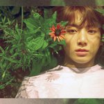 [방탄소년단] 이거 <b>보정</b> 정국이밖에 없어???