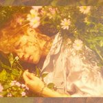 [방탄소년단] 어린왕자<b>세여</b>??진짜ㅜㅜ