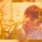 [방탄소년단] 석진이 이 사진