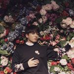 [방탄소년단] 나는 사실 정구기보고