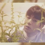 [방탄소년단] <b>노력</b>은 했지만...