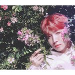 [방탄소년단] <b>호석</b>이보정 쩜