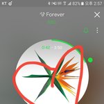 [EXO] 치킨 순<b>살</b>로 시켰는데 전부 <b>다리</b><b>살</b>임 ㅅㅂ