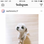 [세븐틴] 애들 오늘 휴가인가봐!
