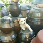 [EXO] <b>west</b> side