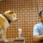 너 <b>암내</b>나게생김