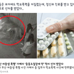[드루와] 부산 여중생 사건 가해자 무조건 욕