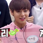 [박지훈] 박지훈 오빠 생각