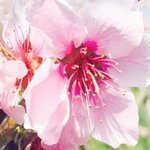 [드루와] 부모에게 꼭 <b>효도</b>하란 말이 얼마나 잔인하냐면