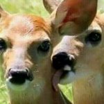 [EXO] 오늘교실에서 엑소뮤비틀엇는데 반응개뜨거워 화상입음ㅅㅂㅋㅋㅋㅋㅋ