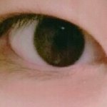 [댓글부탁해] 이런<b>눈</b> 꼬막<b>눈</b>이야?