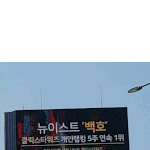 [강동호] 10주 <b>연속</b> 가자 ㄱㄱ