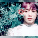[방탄소년단] <b>미모</b> 감상