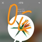 [EXO] 아휴 어그로들 또 건수 잡았다고 발광하는 거 봐라