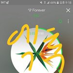 [EXO] 어휴 씨 발 니 손 몇번 움직이는게