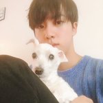 [방탄소년단] 진, 제이홉, 슈가, 뷔  <b>혈연</b>들