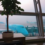 일본간다 <b>희희</b>