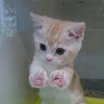 예쁜<b>옷들</b>은 다 어디서 사?