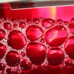 [댓글부탁해] 미각이 <b>특화</b>된 친구들아 들어와봐