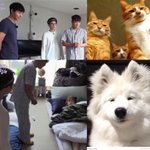 [드루와] 오랜만에 <b>2AM</b>노래듣는데 __명곡이네..