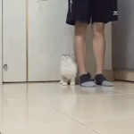 [EXO] <b>졸라</b>귀엽지않냐