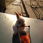 [방탄소년단] 심부름 하다 <b>식욕</b>이 앞선 정국이래 ㅠㅠㅠ