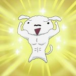 야 챈스챈스