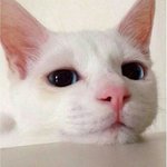[댓글부탁해] <b>야호</b> 4시라니