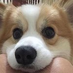 [드루와] 얘들아!!!!!!!!
