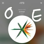[EXO] 애들 끝에 서있다가 꽃가루 터질때 <b>박찬</b>열 개놀란거 봄...