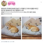 [댓글부탁해] 얘들아 <b>내</b> <b>몸</b>에서 냄새