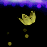 [<b>빅뱅</b>] 언젠가 있을 완전체 콘서트<b>때</b>