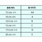 야 가슴사이즈 이거 ㄹㅇ이야..?