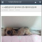 [드루와] 내일 춘추복입을까 <b>하복</b>입을까?