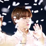 [박지훈] 무대에서 <b>손</b><b>인사</b>하는 박지훈 모음