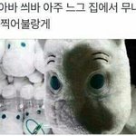[댓글부탁해] 더블유<b>브이</b>프로젝트 같은 옷쇼핑몰 추천 좀!