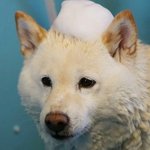 [댓글부탁해] 나 조카 병신인ㄱ가