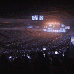 [세븐틴] 콘서트 가본 캐럿들ㅜㅜ