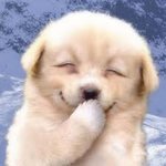[방탄소년단] 이거완전 둘이 존똑아니야...?.