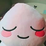 [댓글부탁해] 우리집 막내곤듀볼래?~?