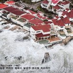 허리케인 <b>어마</b>가 휩쓸고 지나간 자리...